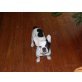 Goofy, Französische Bulldogge - Rüde
