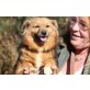 Gordi, toller,kleiner Familienhund - Rüde
