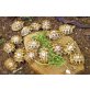 Griechische Landschildkröte