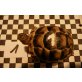 Griechische Landschildkröte