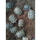 Griechische Landschildkröte