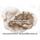 Griechische Landschildkröte