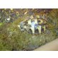 Griechische Landschildkröte