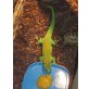 Großer Madagaskar Taggecko