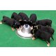 Grosser Schweizer Sennenhund Welpen - Rüde