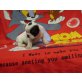 Gulliver, Französische Bulldogge  - Rüde