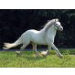 Gypsy Hengst Pferd - Hengst