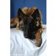 HOPE, Malinois - Hündin