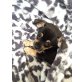 Harry, Chihuahua kurzhaariger Schlag Welpen - Rüde