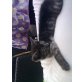 Haus- und Hofkatze - Kater