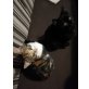 Hauskatzen - Kater