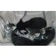 Hauskatzen - Katze