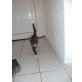 Hauskatzen - Katze