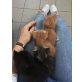 Hauskatzen!, Mischling - Kater