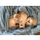 Heilige Birma/Hauskatze - Katze