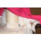 Heilige Birma - Kater