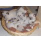 Heilige Birma/Siam Mix - Kater