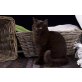 Helmar & Henry, Britisch Kurzhaarkatze - Kater