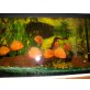 Heros Severum