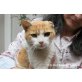 Herzenskater Boris - Kater