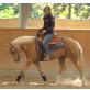Holly Solution, Quarter Horse - Stute