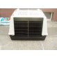 Hundetransportbox, Chihuahua langhaariger Schlag - Hündin