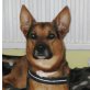 IDEFIX, Mix - Rüde