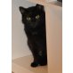 ILYRIA, Tierschutz - Katze