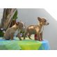 Igelchen + Ice Cream, Podenco Mix Welpe Welpen - Rüde