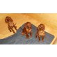 Irish Setter Welpen - Hündin