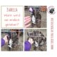 Isabella, Listi-Mix - Hündin