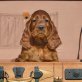 J-Wurf Irish Setter, Irish Setter - Hündin