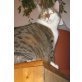JENNY, Tierschutz - Katze