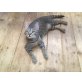 JERRY, Tierschutz - Kater
