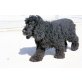 JIMENEZ, Cocker Spaniel - Rüde