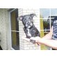Jack Russel und westi mix  - Hündin