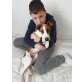 Jack-Russell-Terrier - Rüde