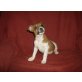Jack Russell Terrier Welpen - Hündin