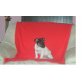 Jack-Russell-Terrier Welpen - Hündin