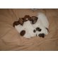 Jack-Russell-Terrier Welpen - Rüde