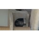 Jinny, Hauskatze - Katze