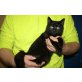 KEN auf er Suche nach seinem Traumplatz - Kater