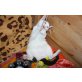 KINDERKATZENBANDE  - Kater