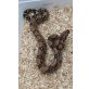 Kaiserboa