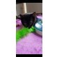 Karli sucht sein Glück, Hauskatze - Kater