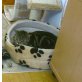 Kastrierter Britisch Kurzhaar Kater, Britisch Kurzhaarkatze - Kater
