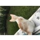 . - Kater