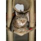 Kater Charly, ehk&ehk - Kater
