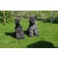 Kerry Blue Terrier - Rüde