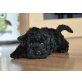 Kerry Blue Terrier Welpen - Rüde